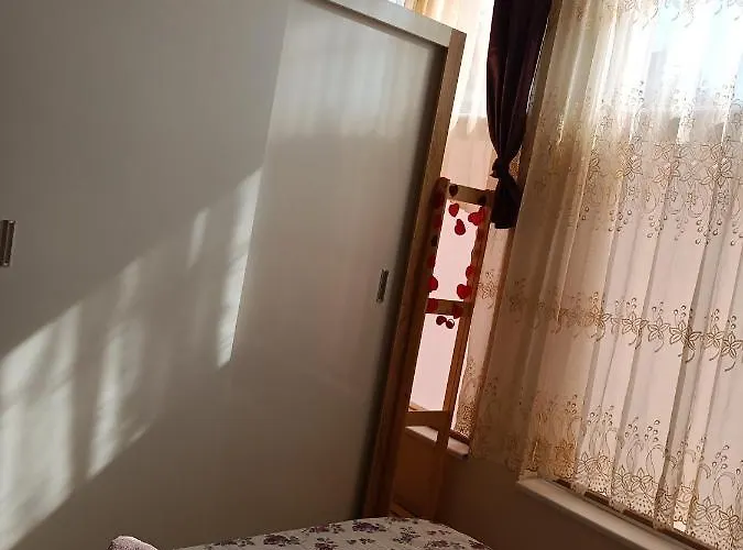 студио ариел