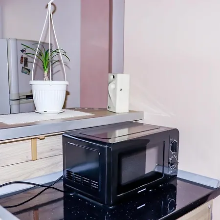 Apartmán студио ариел